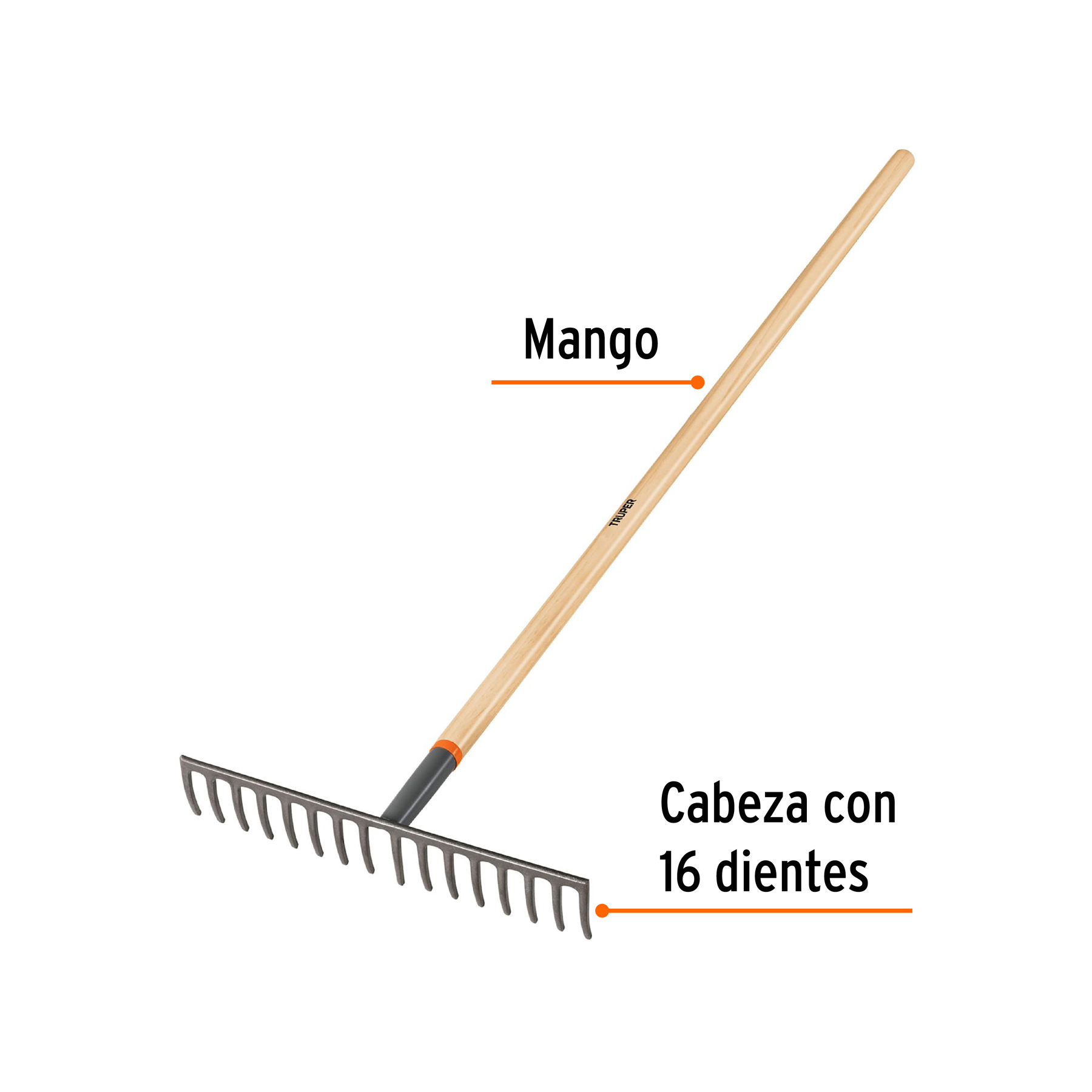 Rastrillo recto de 16 dientes, mango de 60", TRUPER - Image 2